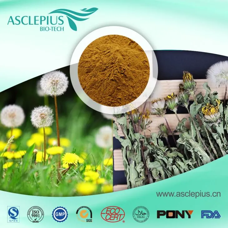 Dandelion Root Extract Powder Supplier Wholesale