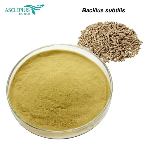Bacillus Subtilis Fermentation Bacteria/Bacillus Subtilis Fungicide